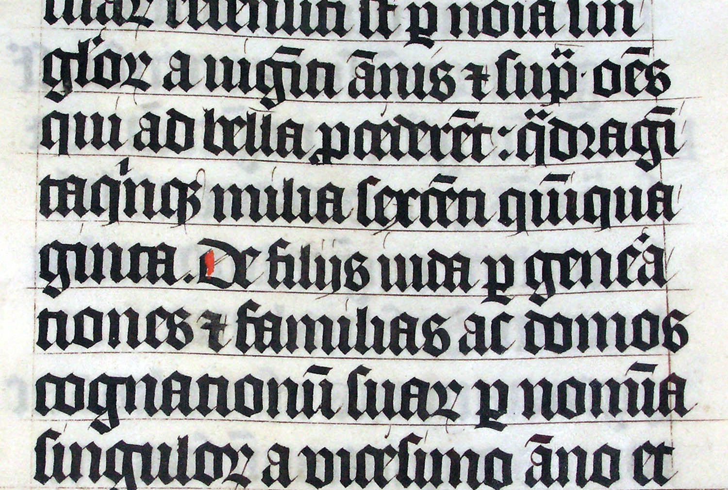 A hand-lettered Latin Bible from 1407. Unsurprisingly, aspiring Bible owners were not encouraged to do their own calligraphy. Adrian Pingstone, 2005 (Public Domain)