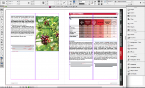 After the initial templates and process were laid out, it was a matter of gathering the pieces in InDesign. © Talk Science to Me 2014
